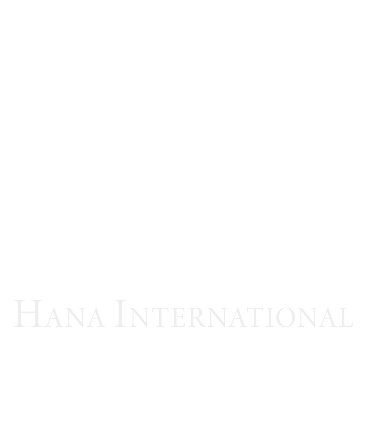 HANA INTERNATIONAL